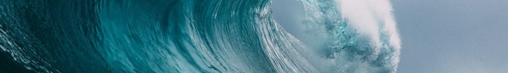 sustainability strategy