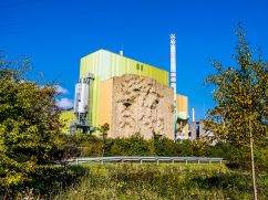 Flörsheim-Wicker Biomass